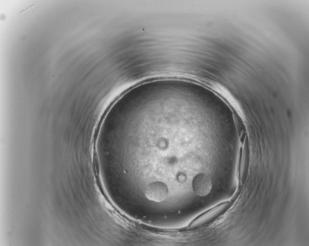 X0000086981388200704231808