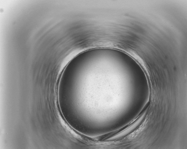 X0000086981389200704231808