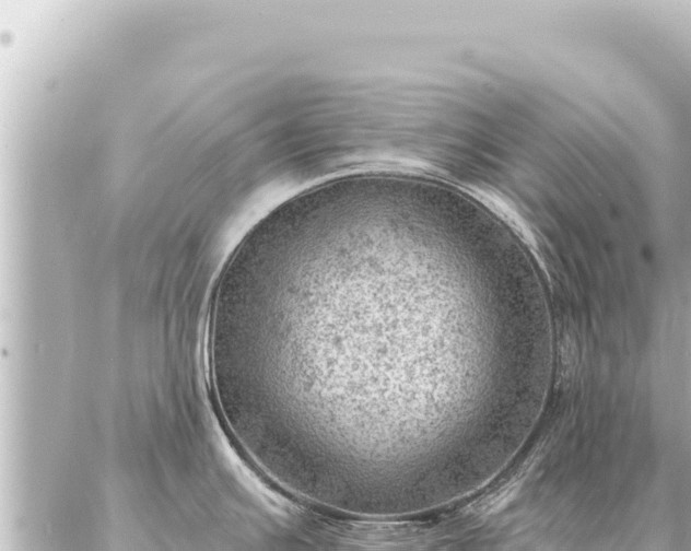 X0000086981391200704231808