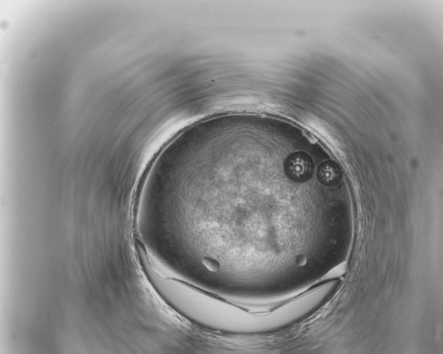 X0000086981392200704231808