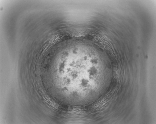 X0000086981393200704231807