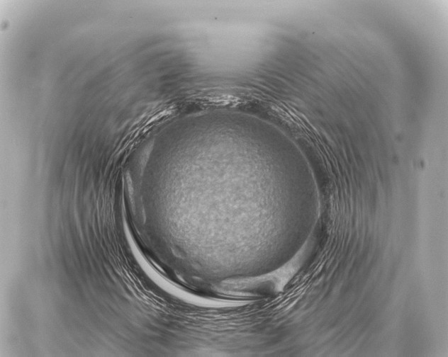 X0000086981394200704231808