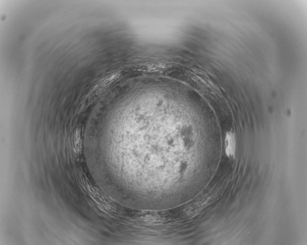 X0000086981395200704231808