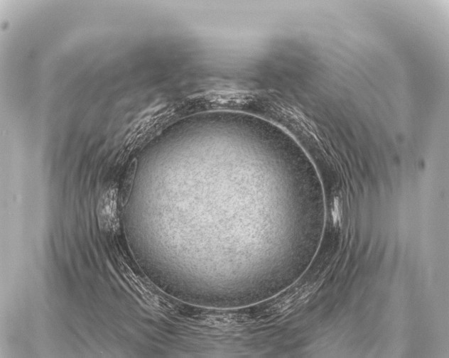 X0000086981396200704231808