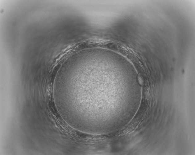 X0000086981397200704231808