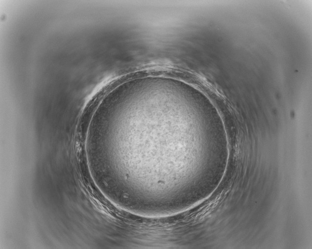 X0000086981400200704231808