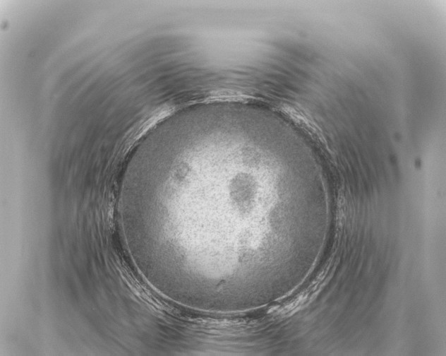 X0000086981401200704231808