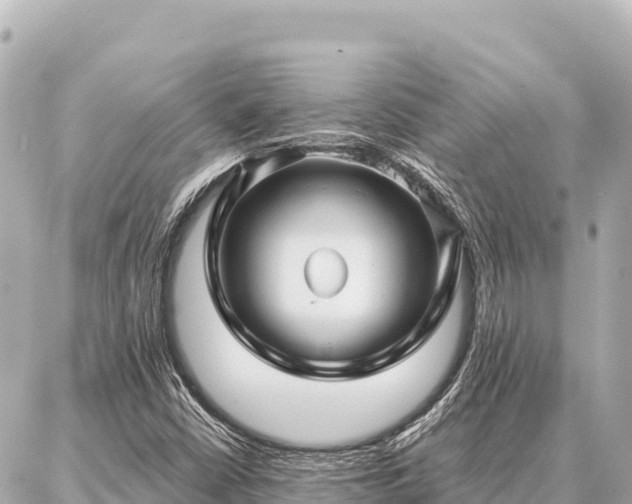 X0000086981402200704231808