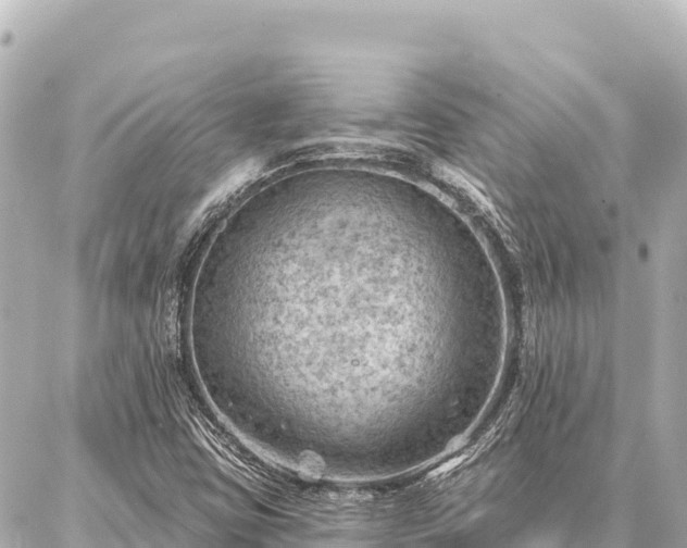 X0000086981403200704231808