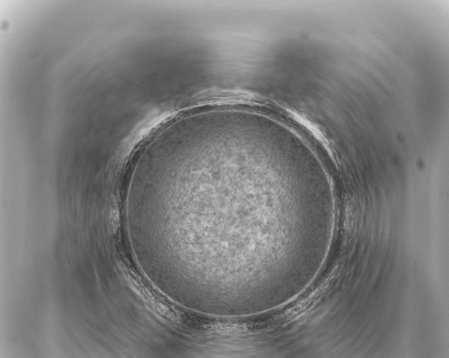 X0000086981407200704231808