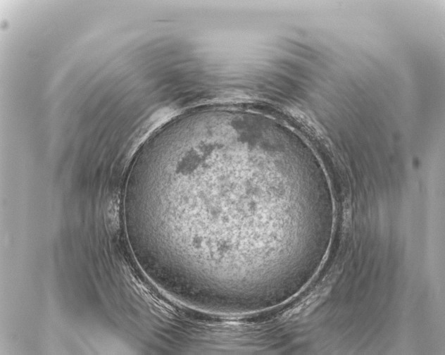 X0000086981409200704231808