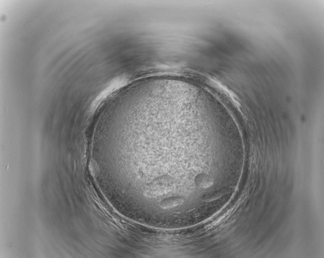 X0000086981411200704231808