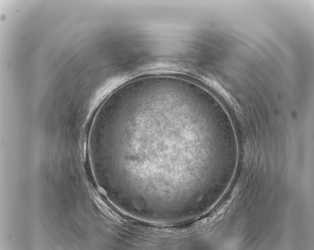 X0000086981413200704231808