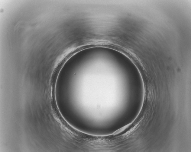 X0000086981414200704231808