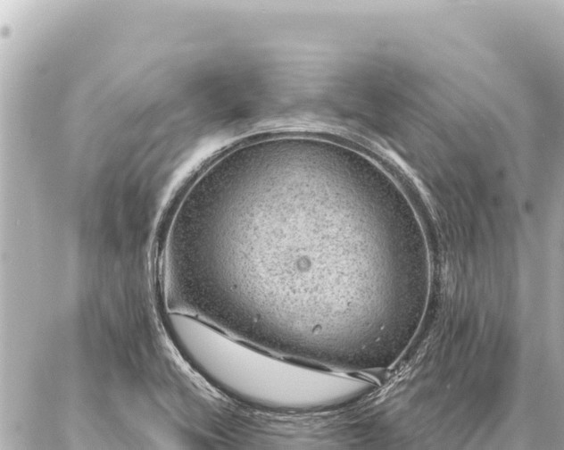 X0000086981416200704231808