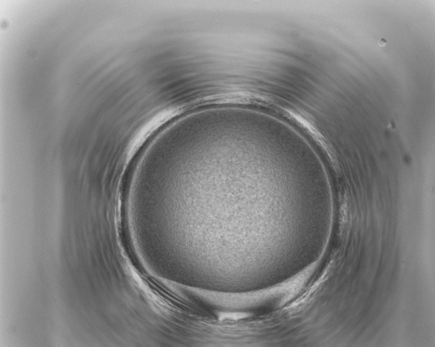 X0000086981418200704231808