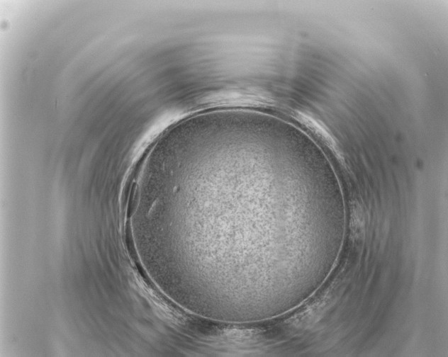 X0000086981419200704231808