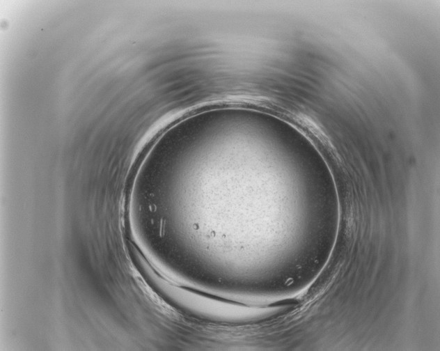 X0000086981420200704231808