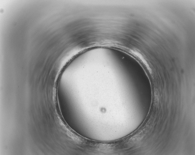 X0000086981424200704231808