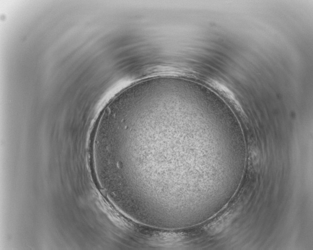 X0000086981427200704231808