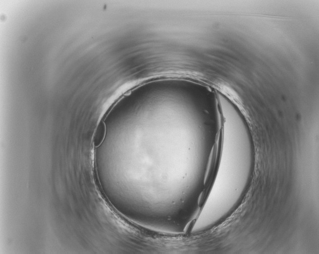 X0000086981428200704231808