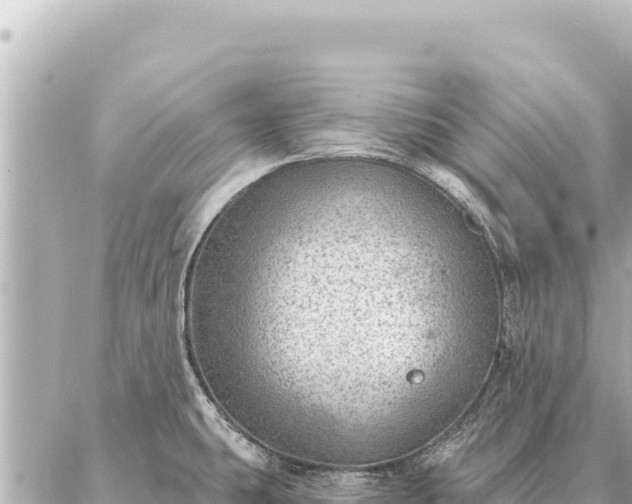 X0000086981431200704231808