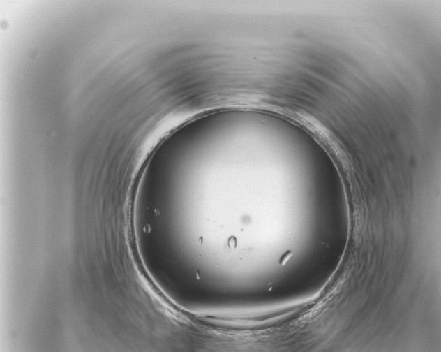 X0000086981432200704231808