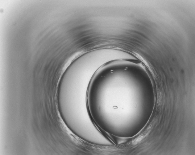 X0000086981434200704231808