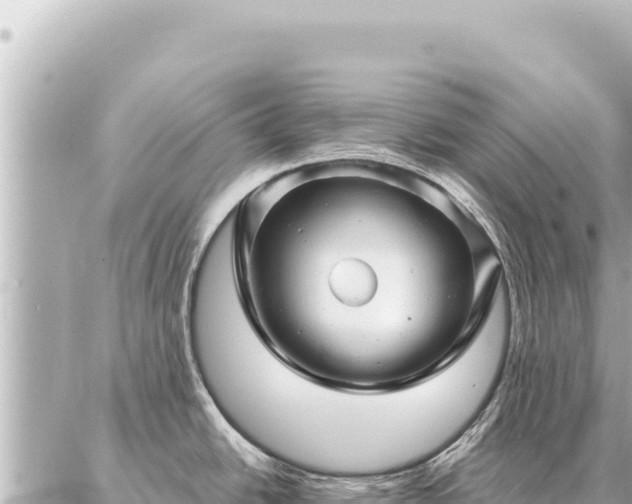 X0000086981438200704231808