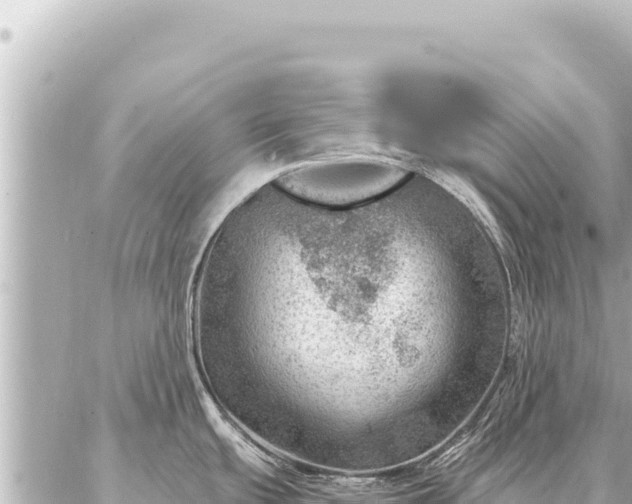 X0000086981439200704231808