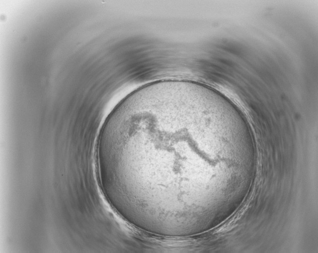 X0000086981440200704231808