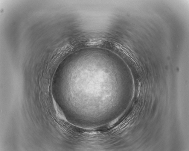 X0000086981441200704231807