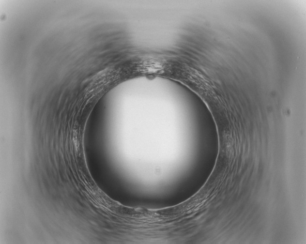 X0000086981442200704231807