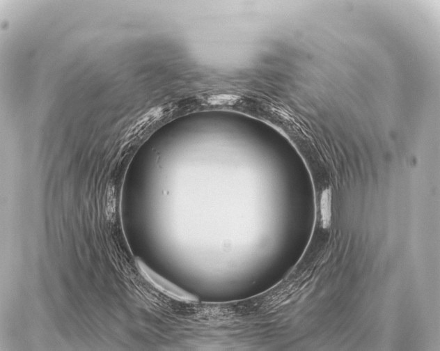 X0000086981443200704231807