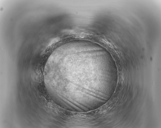 X0000086981446200704231807