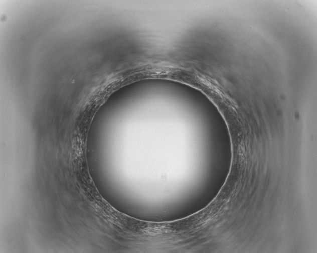 X0000086981447200704231807