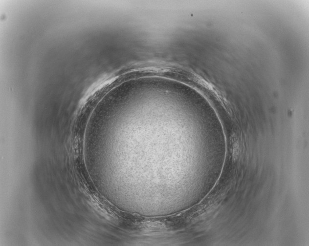 X0000086981448200704231807