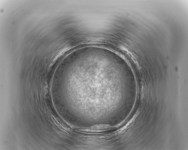 X0000086981449200704231807