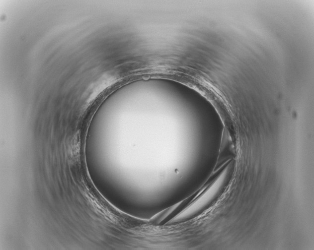 X0000086981450200704231807