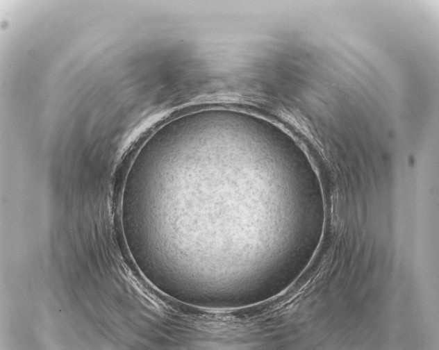 X0000086981452200704231807