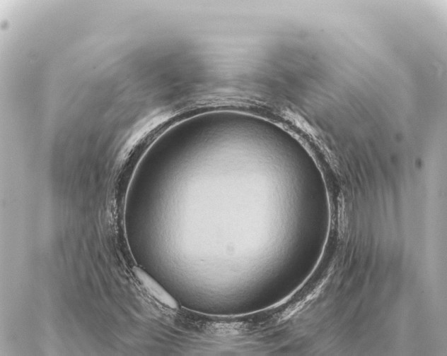 X0000086981453200704231807