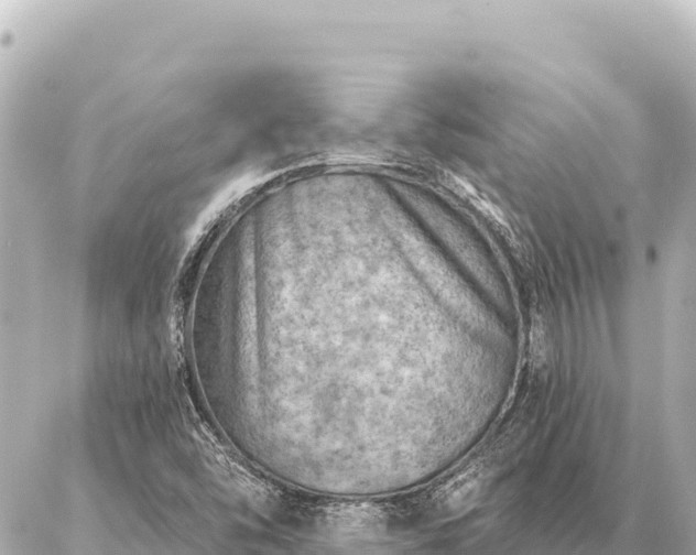 X0000086981454200704231807