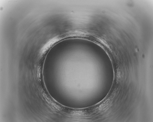 X0000086981455200704231807