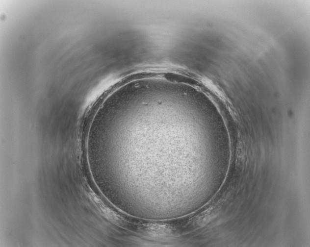 X0000086981456200704231807