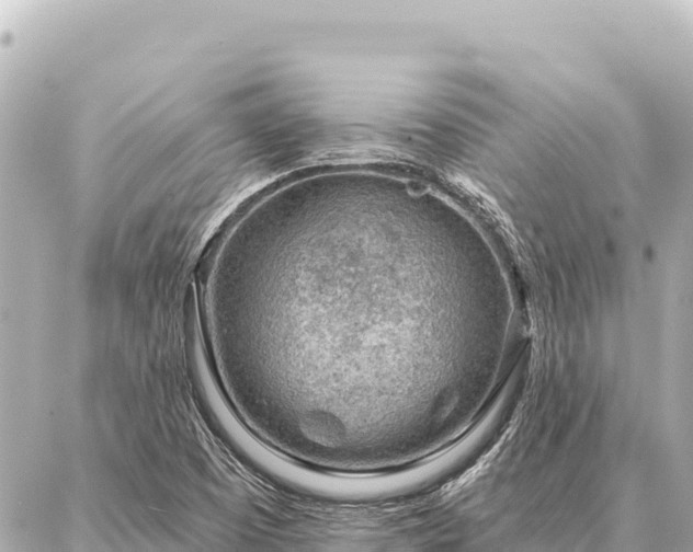 X0000086981457200704231807