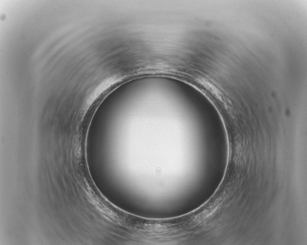 X0000086981458200704231807