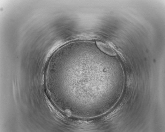 X0000086981459200704231807