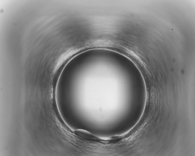 X0000086981461200704231807