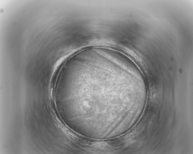 X0000086981462200704231807