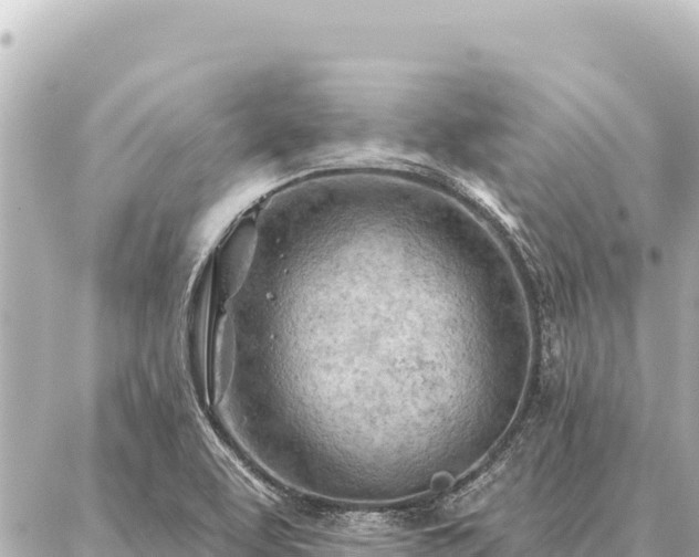 X0000086981463200704231807